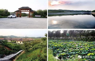 遼寧省莊河市地工產(chǎn)品企業(yè)名錄 水產(chǎn)食品加工類