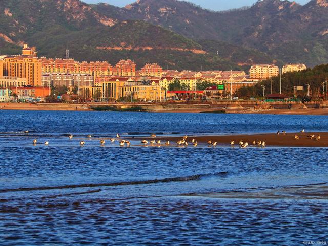 探訪大連莊河,感受海岸城市的魅力!