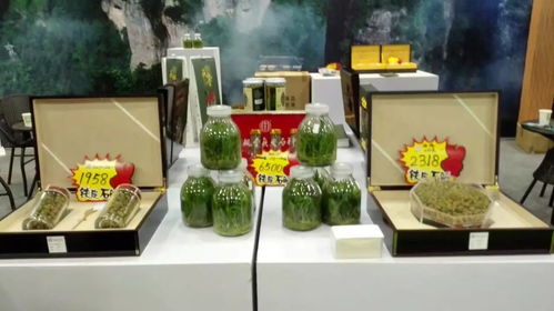 今明去溫州林產(chǎn)品展可逛吃逛玩 海量圖