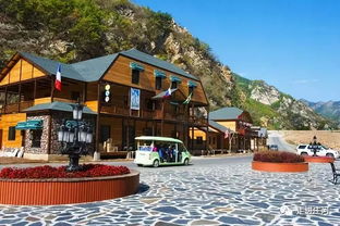 再有人問你到莊河怎么玩耍,直接把這個(gè)甩給ta