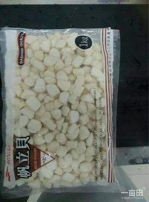 海灣扇貝遼寧大連莊河市_批發(fā)_供應(yīng)-一畝田農(nóng)業(yè)網(wǎng)_專業(yè)的農(nóng)產(chǎn)品信息商務(wù)平臺