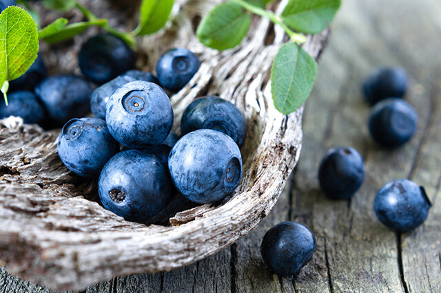 【莊河藍莓】莊河藍莓簡介_莊河藍莓怎么樣&rarr;MAIGOO百科