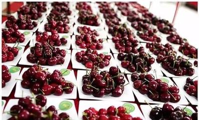 &ldquo;大連大櫻桃&rdquo;&ldquo;大連蘋果&rdquo;&ldquo;莊河藍莓&rdquo;&hellip;越來越有含金量啦!