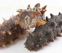 莊河海鮮禮盒批發優質商家置頂推薦產品