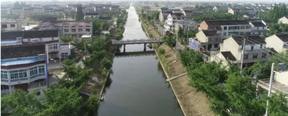 泰興市珊瑚鎮: &ldquo;三腕&rdquo;治水見成效 剛柔并濟促長效