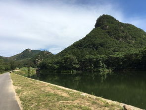 大連莊河天門山森林公園自駕一日游 游記分享