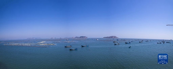 走進縣城看發展丨遼寧莊河:生態優先闖出振興發展新路