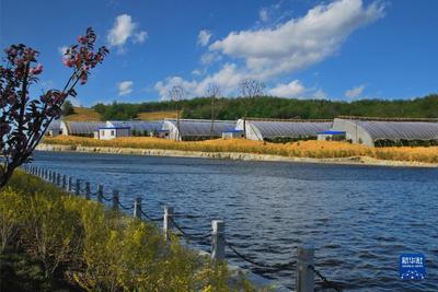 走進縣城看發展丨遼寧莊河:生態優先闖出振興發展新路