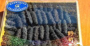 批發供應純天然野生遼刺參