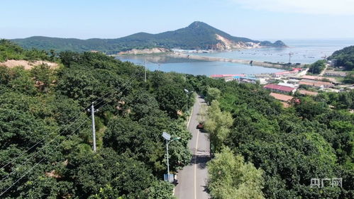 海島上的 振興 路 串起產業串起美 央廣網