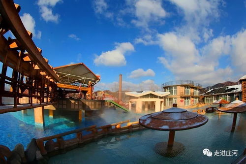 2019,我在莊河等你