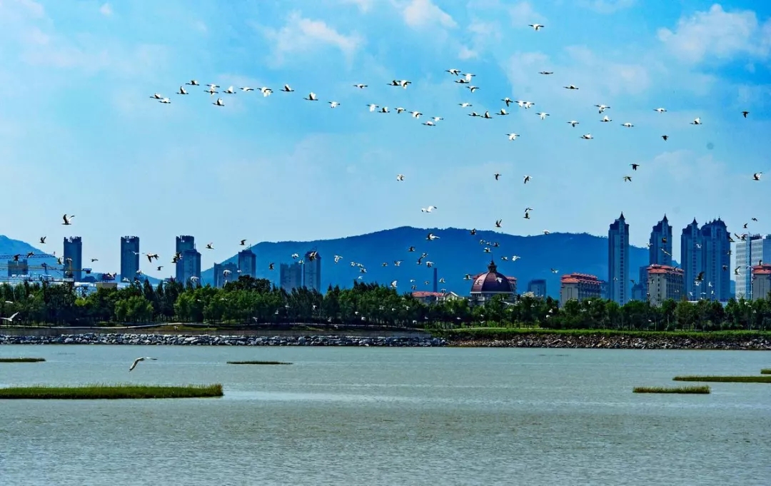 回首2018 "五大關鍵詞"透視莊河市累累碩果