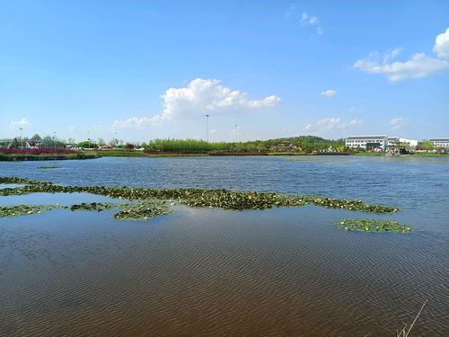 莊河市東方湖初夏美景