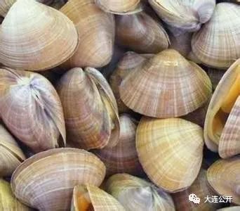 莊河市獲評&ldquo;中國貝類產業之都&rdquo;稱號