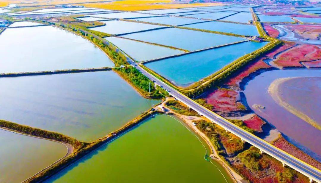 提升生態環境品質 建設綠色發展新"高地" 莊河市國家生態