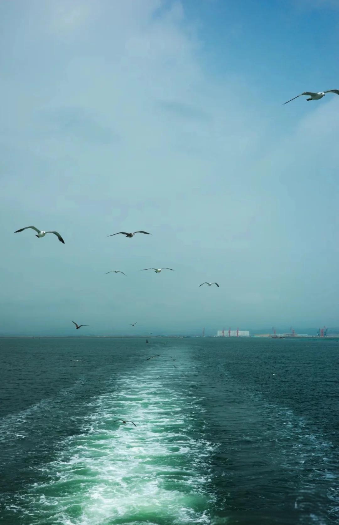 探秘大連莊河石城島 一座被時光雕琢的生態海島