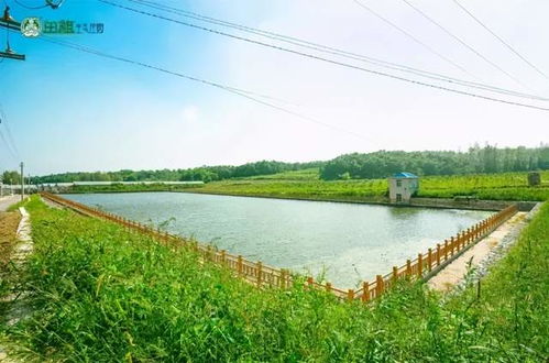 詩畫鄉村游收藏 大連市文旅局推出10條精品旅游線路之莊河篇