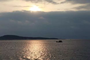 再見亦是重逢 告別與歸途