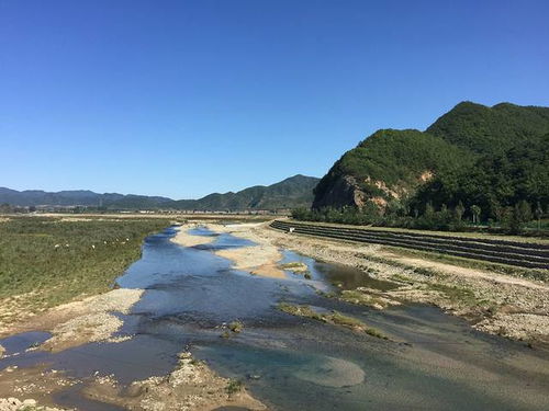 莊河桂云花與天門山 近郊探幽，盡享自然之美