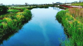 我們村里的均莊河