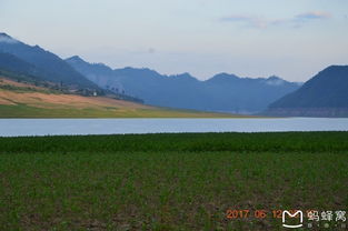 2017年六月的旅程 從莊河到綠江村的探索與回返