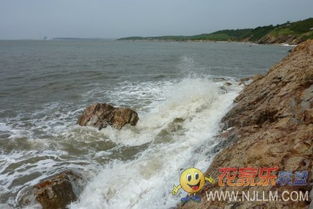 莊河黑島嘉祥農(nóng)家院 暢享海天一色的自然風(fēng)情