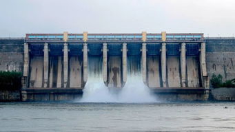 莊河市長謝德洋實地查看英那河水庫泄洪準備工作