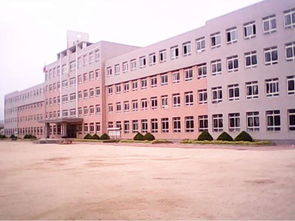 莊河市主要高中介紹