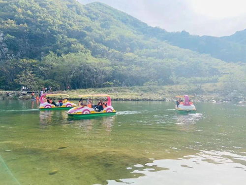 大美莊河輕松之旅 回歸自然的山水詩篇