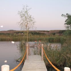 蘆海荷畔 - 莊河市采摘與農家樂體驗的好去處