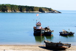莊河花園口風貌專輯 沾光捉影中的莊河