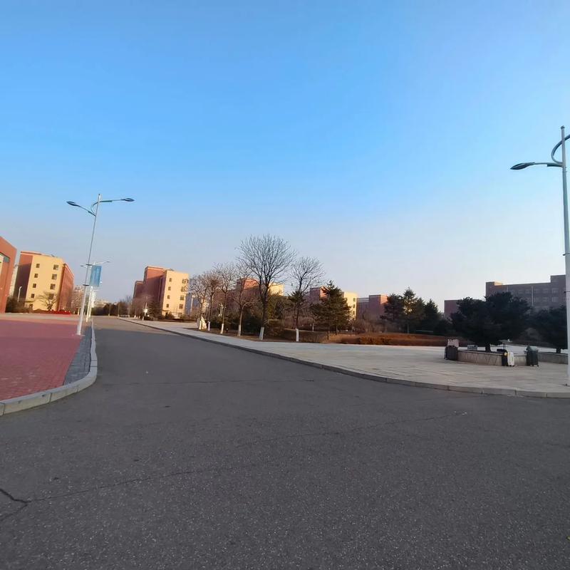 故地故人 在莊河市高級中學的時光里，尋覓與重逢