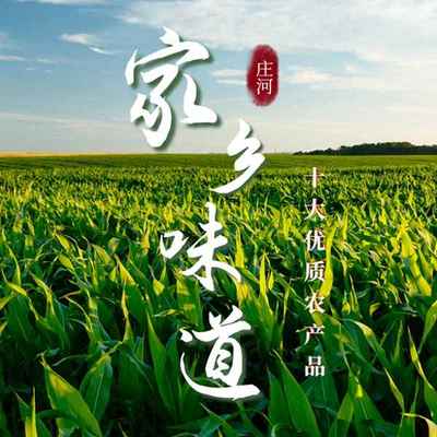 大連食用鹽的品質典范 莊河鹽場與大連制鹽廠