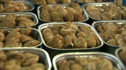 從自閉到產(chǎn)業(yè)領(lǐng)路人 莊河女子的牡蠣翻身仗