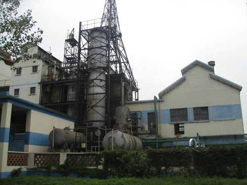 時(shí)光的沉淀 莊河天利氮?dú)庵破窂S舊址的工業(yè)記憶