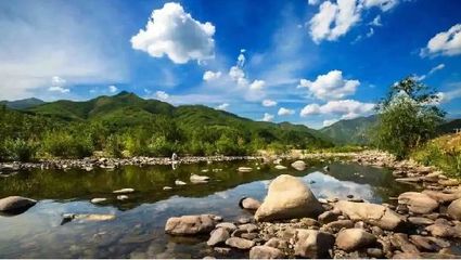 莊河市再獲“國字號”榮譽，城市發(fā)展迎來新里程碑